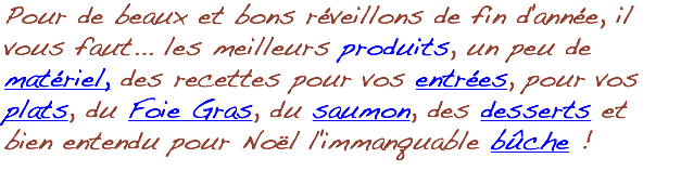 Pour de beaux et bons réveillons de fin d'année, il vous faut... les meilleurs produits, un peu de matériel, des recettes pour vos entrées, pour vos plats, du Foie Gras, du saumon, des desserts et bien entendu pour Noël l'immanquable bûche !